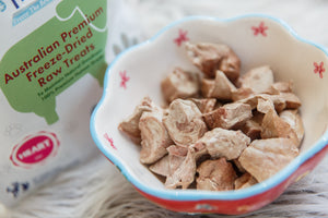 Why Freeze-Dried Pet Treats are the Best Option for Your Furry Friend?
