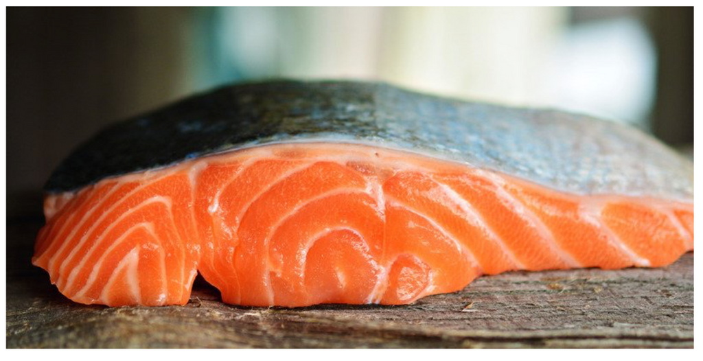 What are the benefits of cats and dogs eating Salmon?
