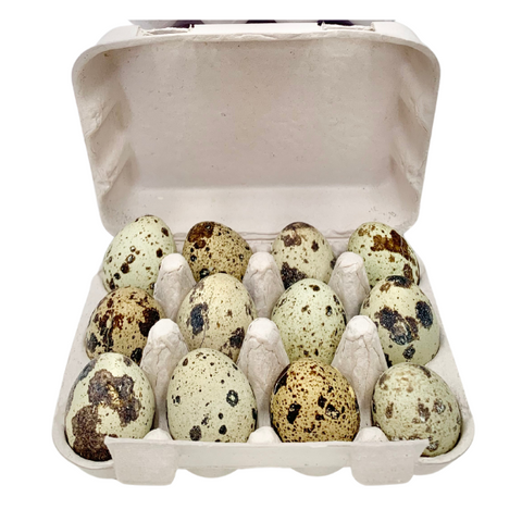 Freezy Paws Human Grade Freeze-Dried Quail Eggs (A Pack of 12 eggs)