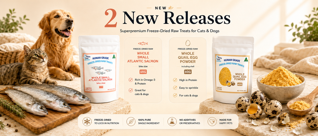 natural balance dog food near me Buy Natural Balance Pet Foods Original Ultra Broth Coated Dry Dog Food