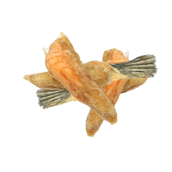 Freeze-Dried Raw Salmon Belly w/Fin Treats (100g)