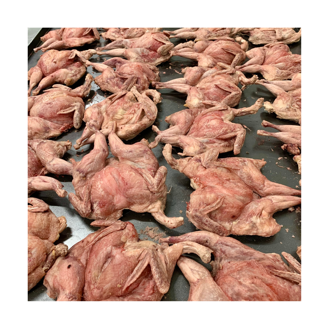 Freezy Paws Human Grade FreezeDried Raw Whole Quail Large Freezy