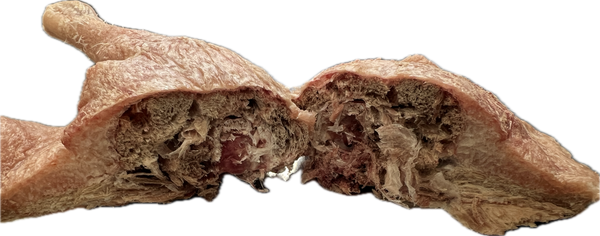 Australian Superpremium Human Grade Freeze-dried Duck Leg (Whole)