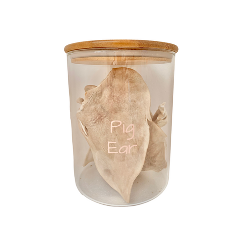 FP Human Grade Freeze-Dried Raw Pig Ears Dental Treats x 1 bag  (3 pcs or 5pcs)