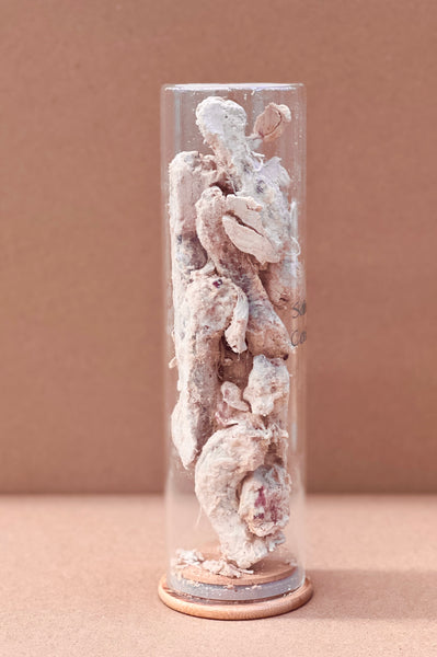 FreezyPaws Superpremium Human Grade Freeze-Dried Raw Salmon Coated Chicken Neck Treats 100g
