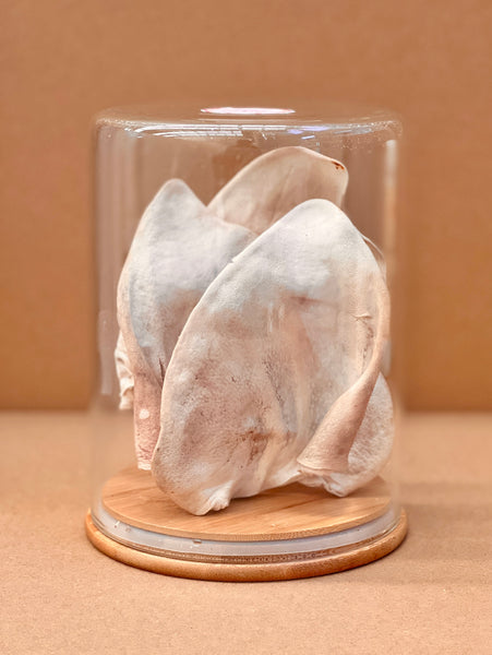 FP Human Grade Freeze-Dried Raw Pig Ears Dental Treats x 1 bag  (3 pcs or 5pcs)